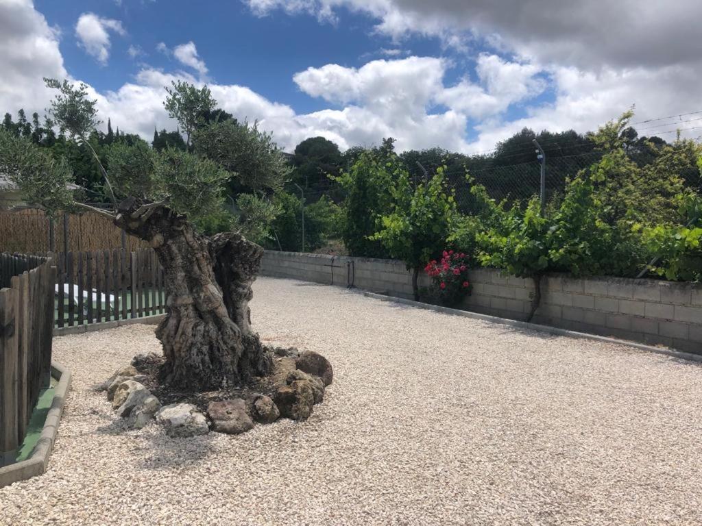 Casa De Campo Patricia 普里埃格·德·科尔多巴 外观 照片