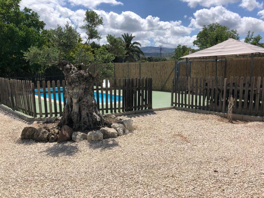 Casa De Campo Patricia 普里埃格·德·科尔多巴 外观 照片